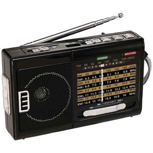 QFX Portable AM/FM 10 Band Radio With Flashlight And USB/TF Player R-39 - CompuBoutique - Miami Florida
